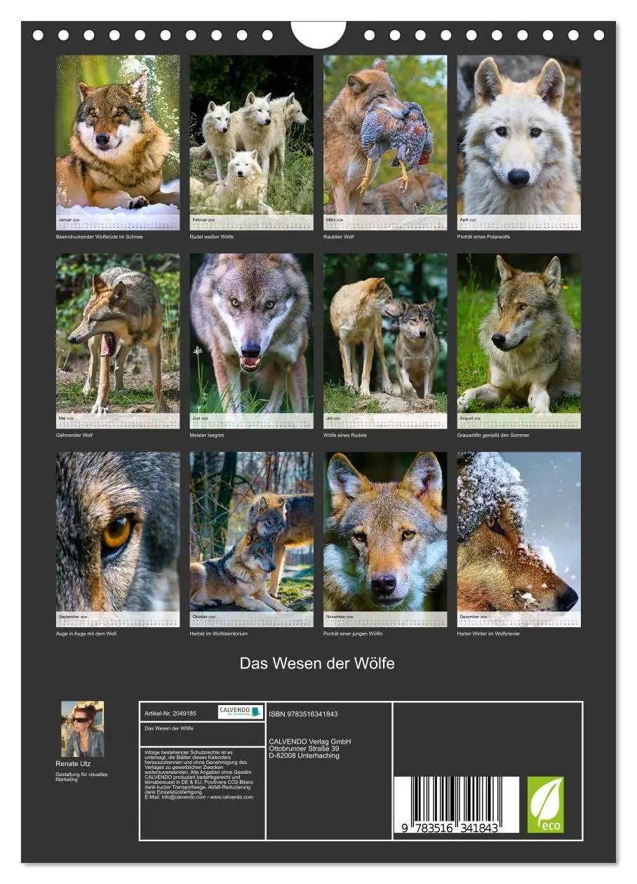 Bild: 9783516341843 | Das Wesen der Wölfe (Wandkalender 2026 DIN A4 hoch), CALVENDO...