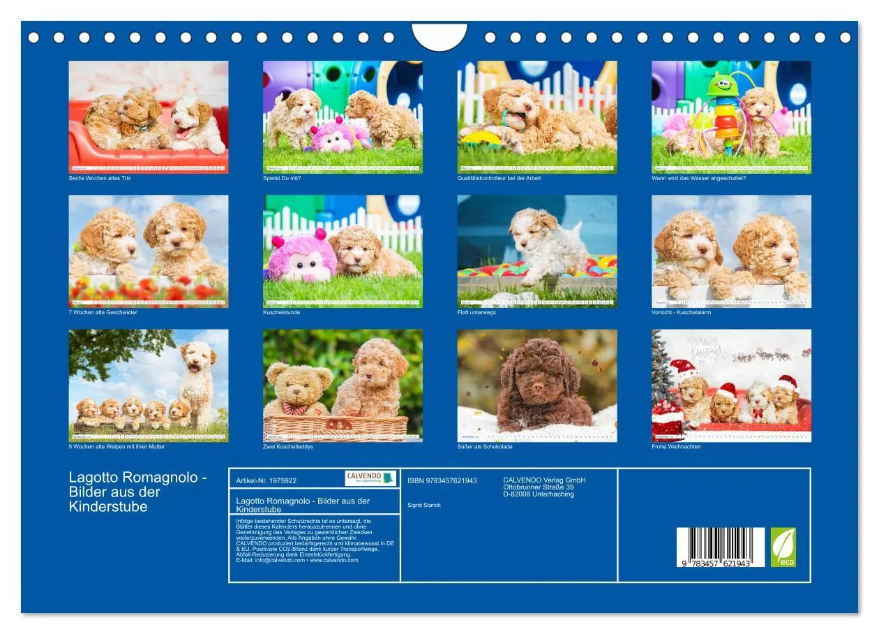 Bild: 9783457621943 | Lagotto Romagnolo - Bilder aus der Kinderstube (Wandkalender 2026...