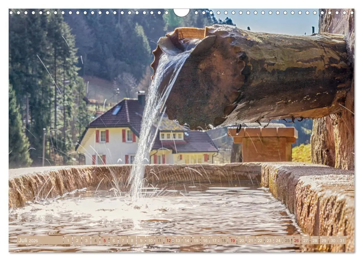 Bild: 9783457861943 | Die Jahreszeiten im Nordschwarzwald (Wandkalender 2026 DIN A3...
