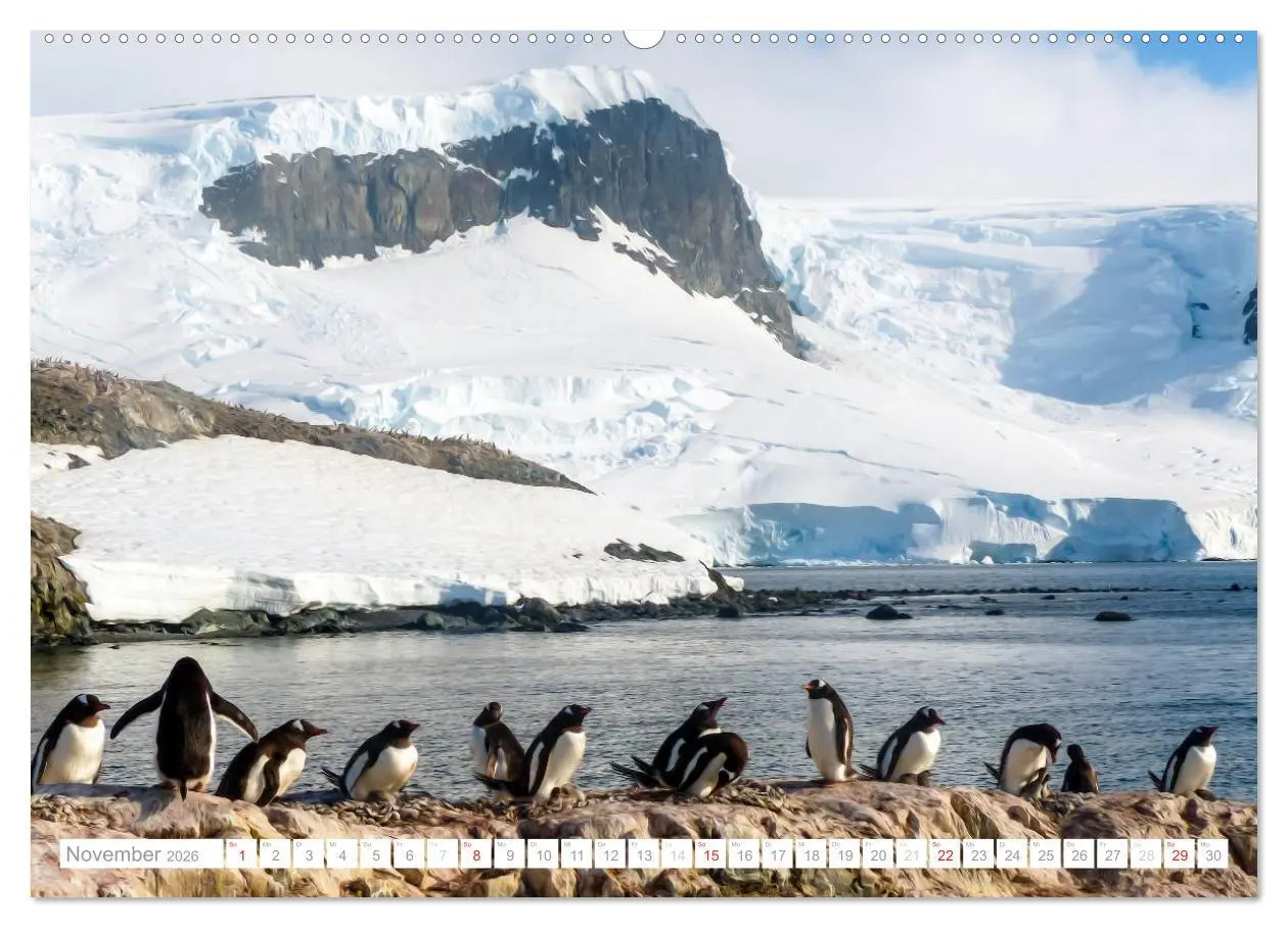 Bild: 9783516191943 | Antarktis - Das Reich der Pinguine (hochwertiger Premium...