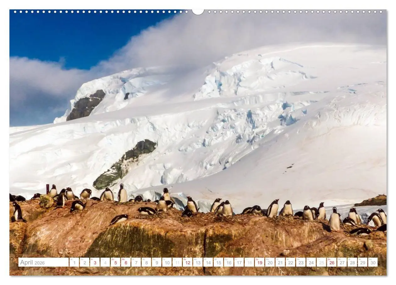 Bild: 9783516191943 | Antarktis - Das Reich der Pinguine (hochwertiger Premium...