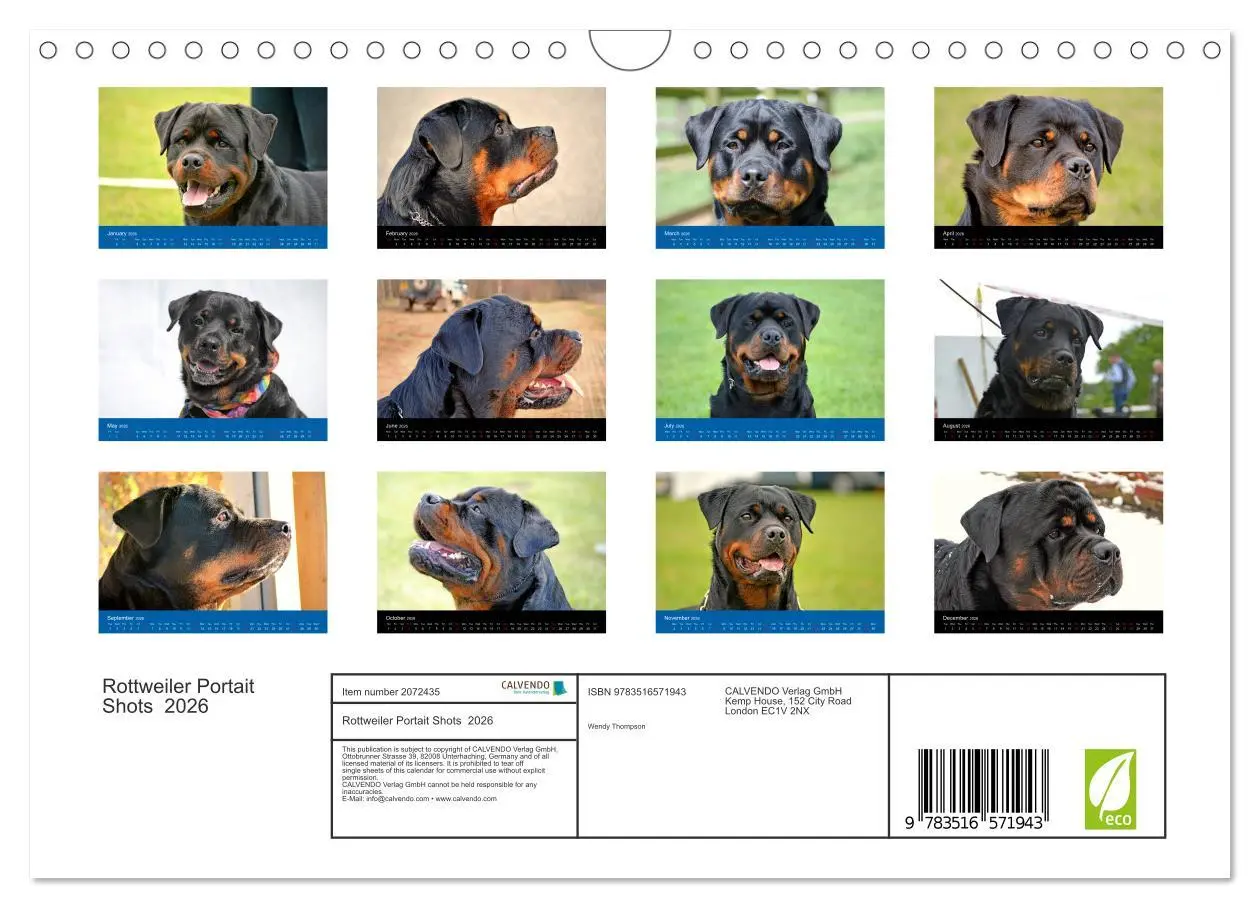 Bild: 9783516571943 | Rottweiler Portait Shots 2026 (Wall Calendar 2026 DIN A4...