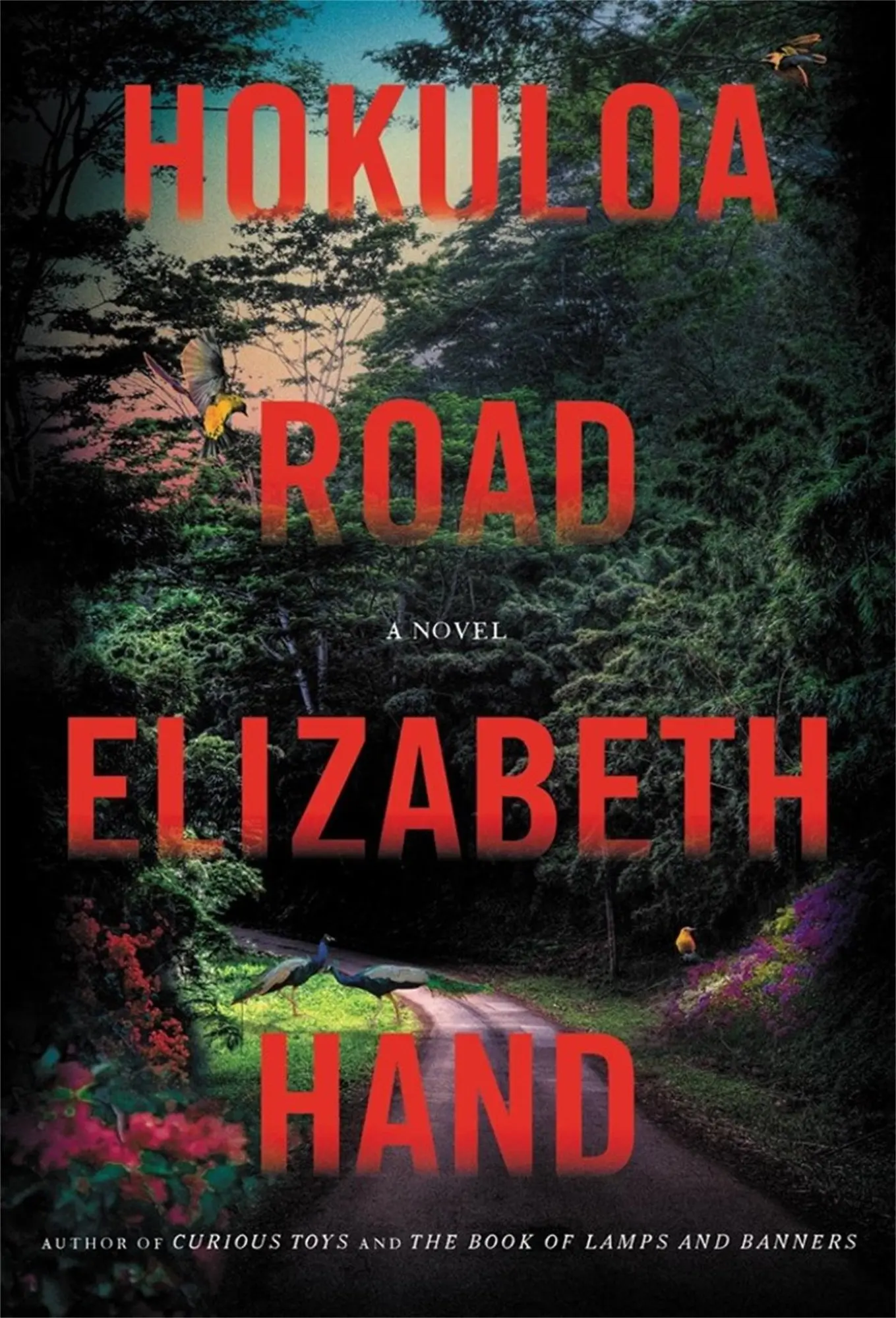 Cover: 9780316542043 | Hokuloa Road | Elizabeth Hand | Buch | Gebunden | Englisch | 2022