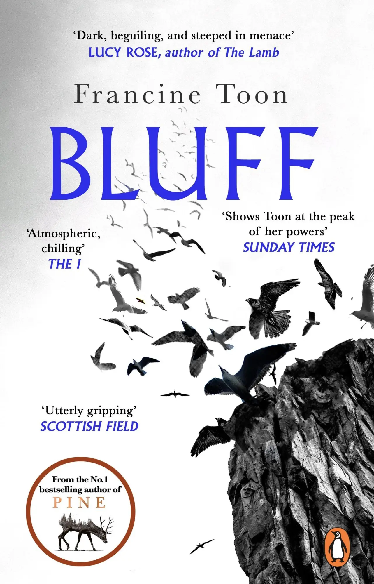 Cover: 9781804992043 | Bluff | Francine Toon | Taschenbuch | 352 S. | Englisch | 2026