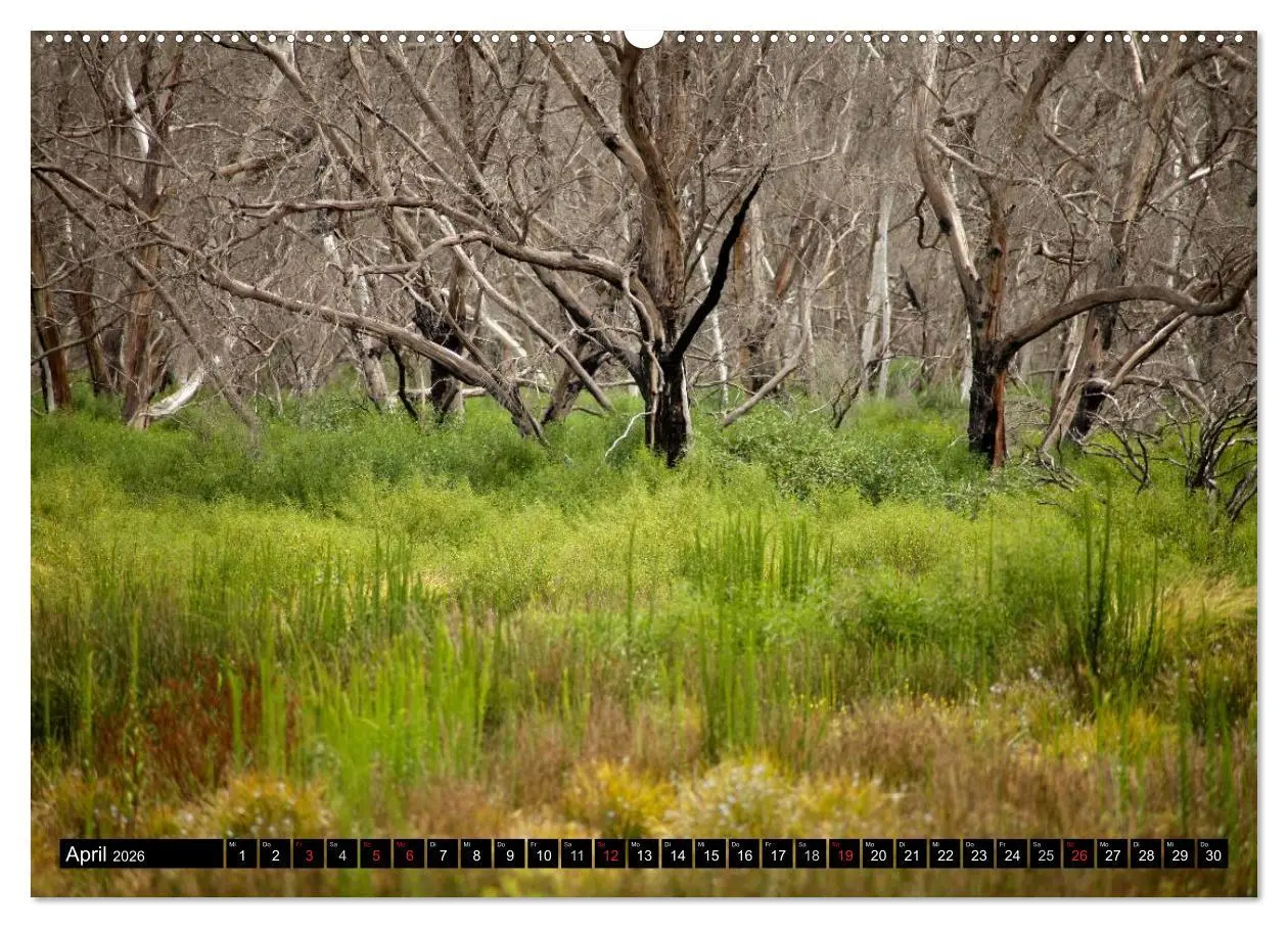 Bild: 9783516222043 | Kangaroo Island (hochwertiger Premium Wandkalender 2026 DIN A2...