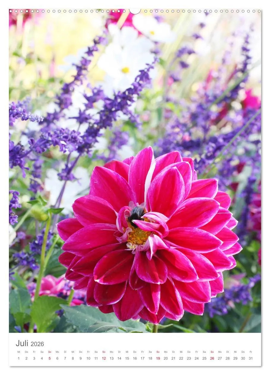 Bild: 9783516392043 | Bunter Sommer (Wandkalender 2026 DIN A2 hoch), CALVENDO Monatskalender