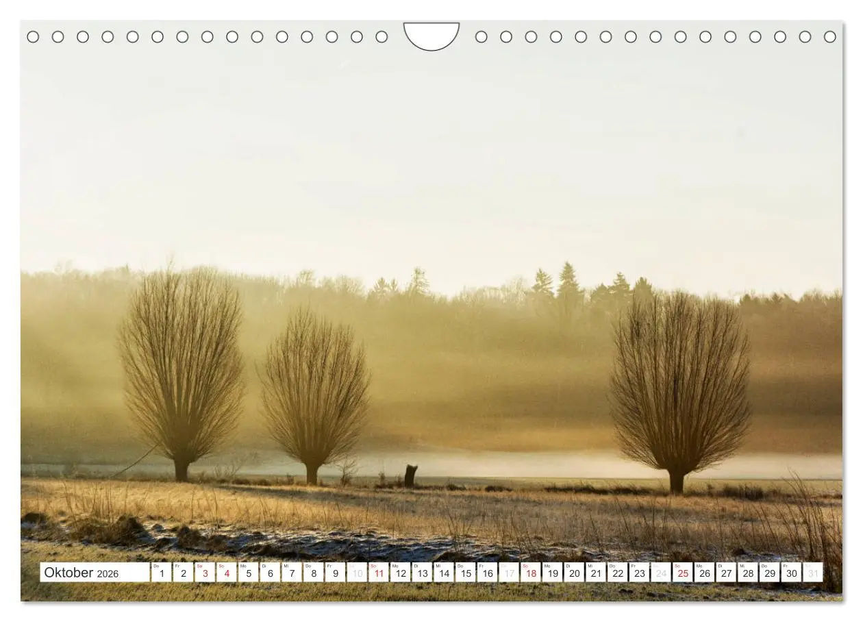 Bild: 9783516212143 | Die Wetterau - Landschaft und Kultur (Wandkalender 2026 DIN A4...