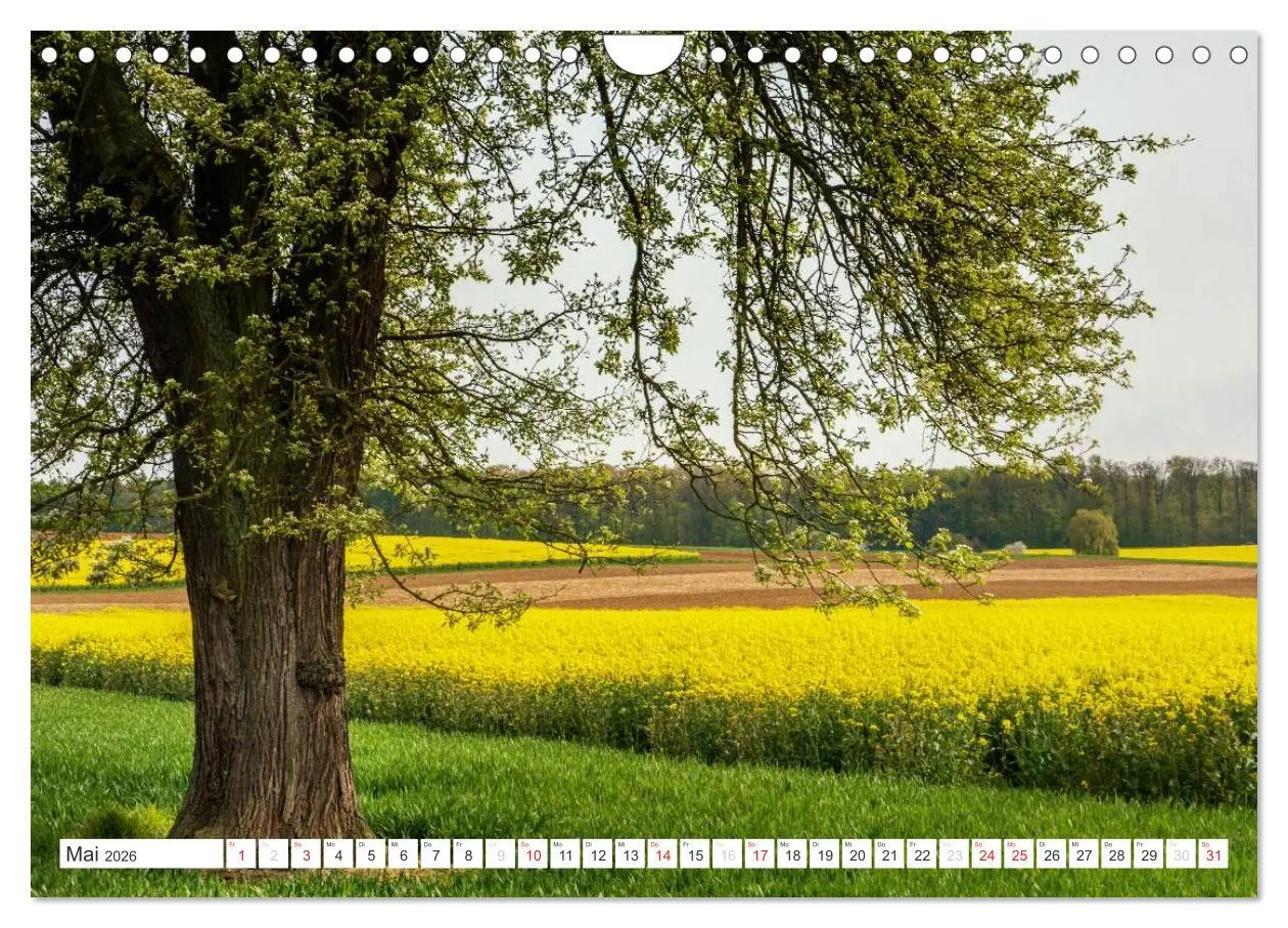 Bild: 9783516212143 | Die Wetterau - Landschaft und Kultur (Wandkalender 2026 DIN A4...