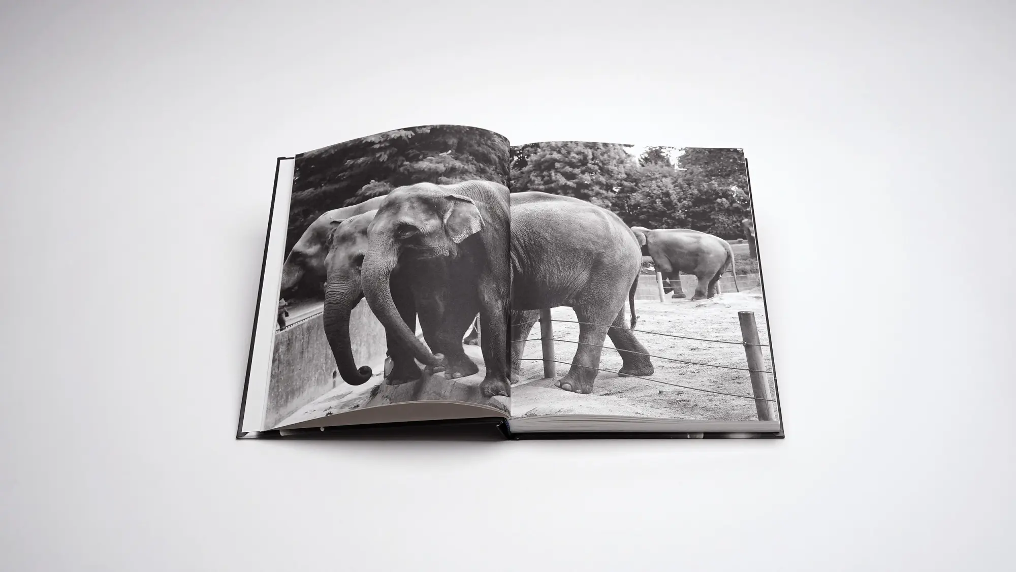 Bild: 9783969122143 | Markus Vater - Objects of Significance | Marcus Steinweg | Buch | 2024