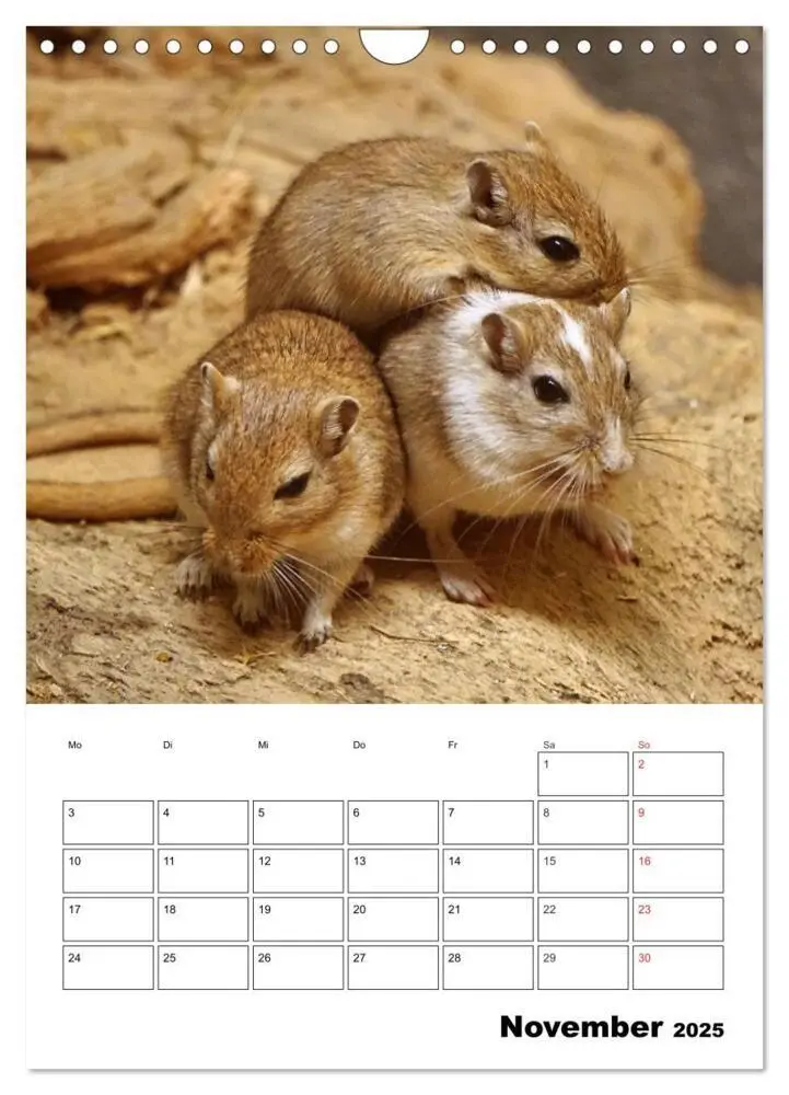 Bild: 9783435952243 | Lustige Rennmäuse (Wandkalender 2025 DIN A4 hoch), CALVENDO...
