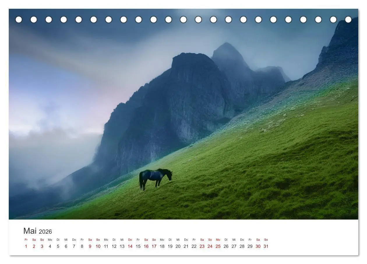 Bild: 9783457282243 | Im Wind der Freiheit - Ein Jahr voller Pferde (Tischkalender 2026...
