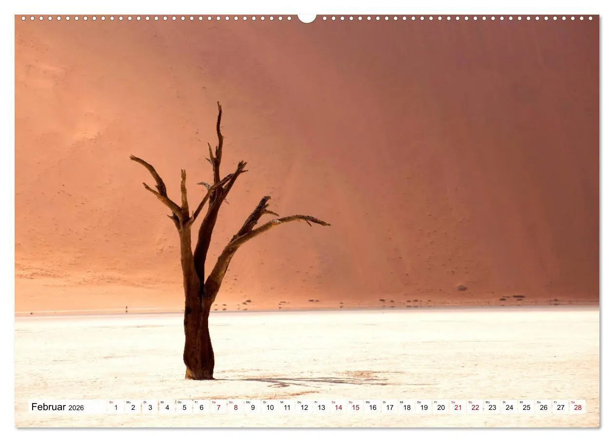 Bild: 9783457802243 | Wüstenlandschaften (Wandkalender 2026 DIN A2 quer), CALVENDO...