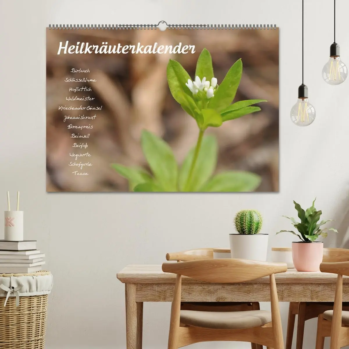 Bild: 9783516132243 | Heilkräuterkalender (Wandkalender 2026 DIN A2 quer), CALVENDO...