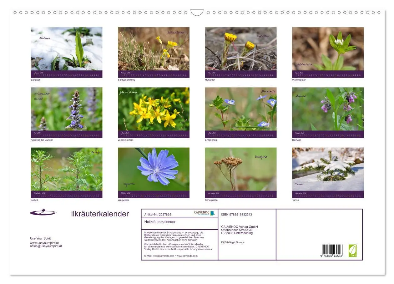 Bild: 9783516132243 | Heilkräuterkalender (Wandkalender 2026 DIN A2 quer), CALVENDO...