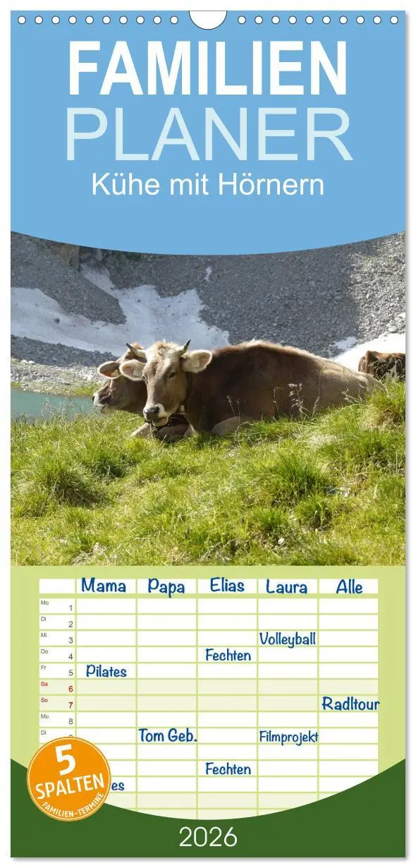 Cover: 9783516512243 | Familienplaner 2026 - Kühe mit Hörnern mit 5 Spalten (Wandkalender,...