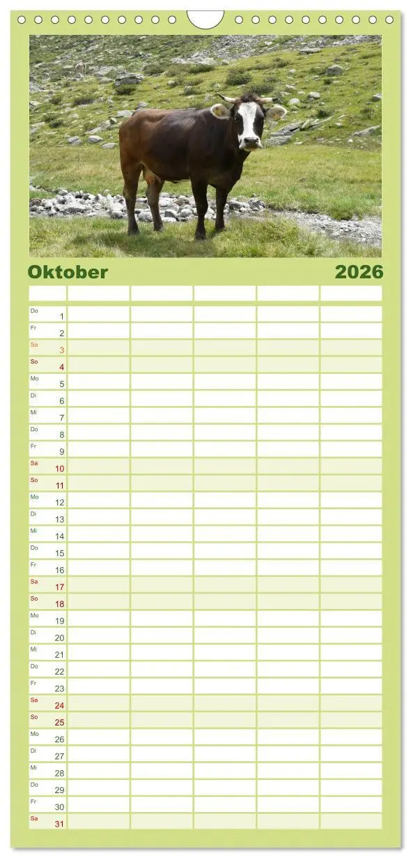 Bild: 9783516512243 | Familienplaner 2026 - Kühe mit Hörnern mit 5 Spalten (Wandkalender,...