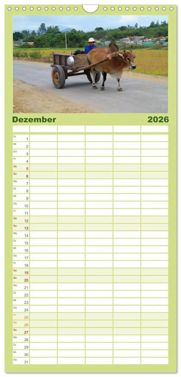 Bild: 9783516512243 | Familienplaner 2026 - Kühe mit Hörnern mit 5 Spalten (Wandkalender,...