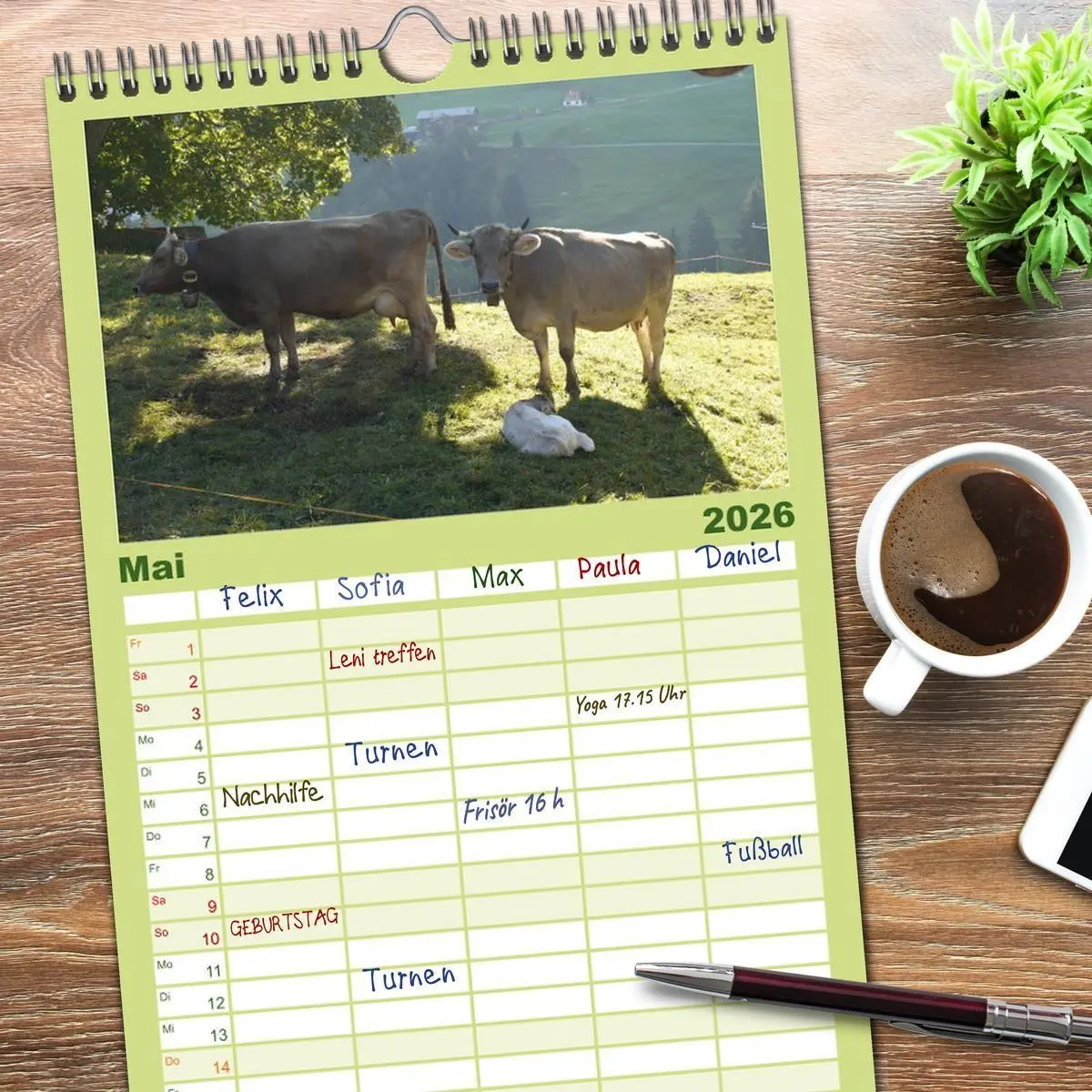 Bild: 9783516512243 | Familienplaner 2026 - Kühe mit Hörnern mit 5 Spalten (Wandkalender,...