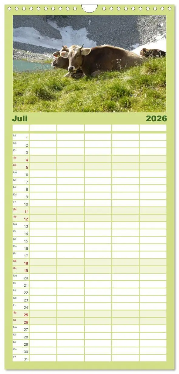 Bild: 9783516512243 | Familienplaner 2026 - Kühe mit Hörnern mit 5 Spalten (Wandkalender,...