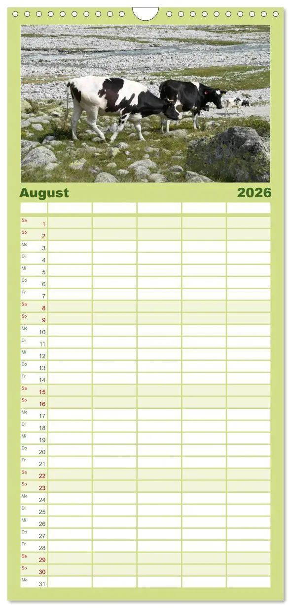 Bild: 9783516512243 | Familienplaner 2026 - Kühe mit Hörnern mit 5 Spalten (Wandkalender,...
