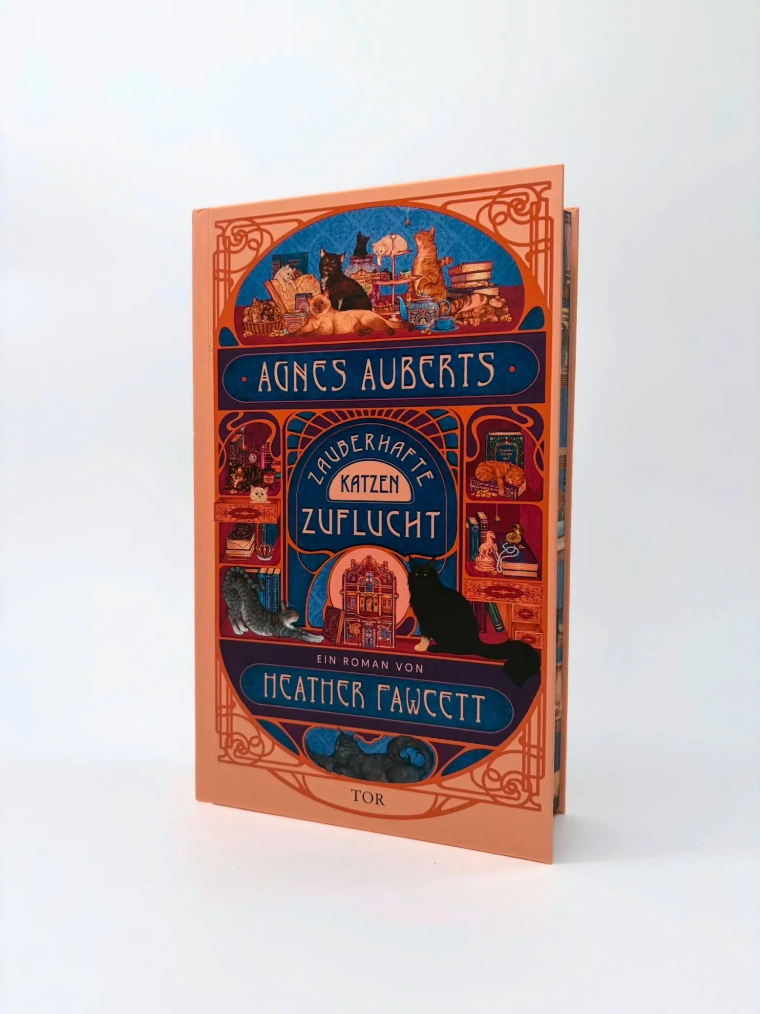 Bild: 9783596712243 | Agnes Auberts zauberhafte Katzenzuflucht | Heather Fawcett | Buch