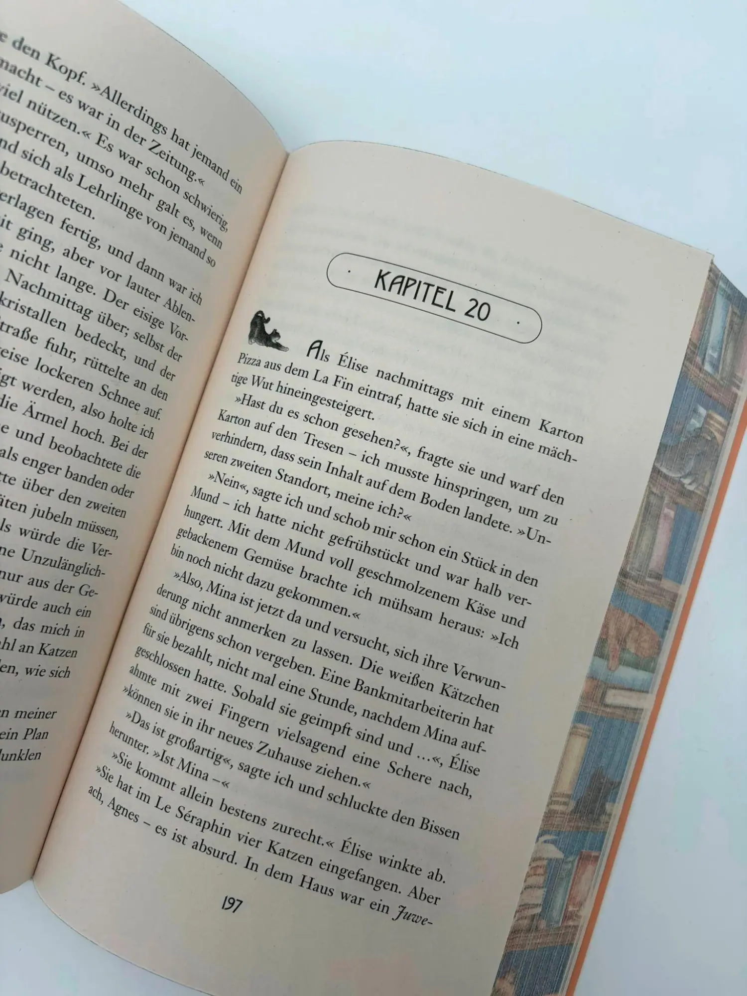 Bild: 9783596712243 | Agnes Auberts zauberhafte Katzenzuflucht | Heather Fawcett | Buch