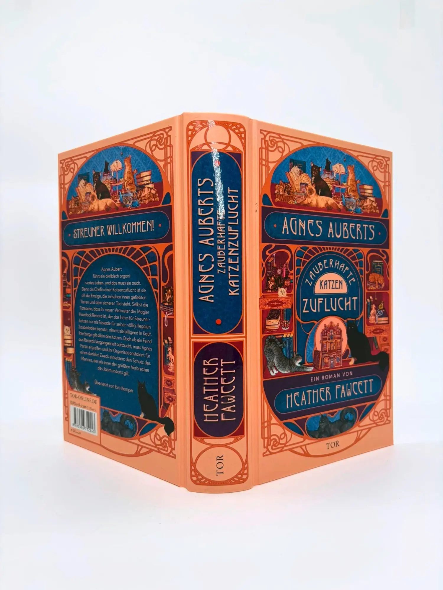 Bild: 9783596712243 | Agnes Auberts zauberhafte Katzenzuflucht | Heather Fawcett | Buch