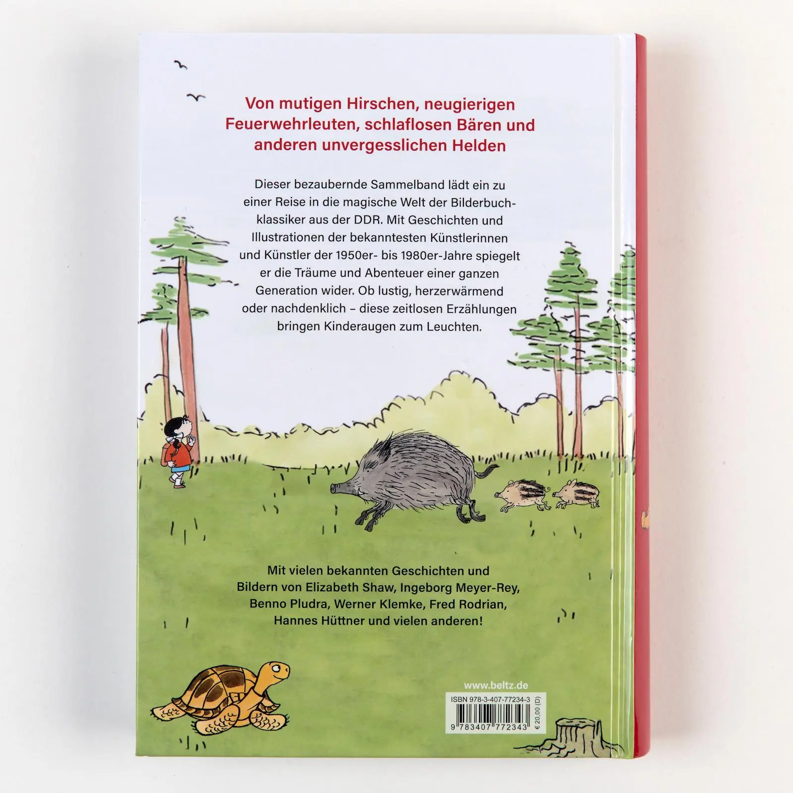 Rückseite: 9783407772343 | Hirsch, Hase, Bär und noch so viel mehr | Andrea Baron | Buch | 389 S.