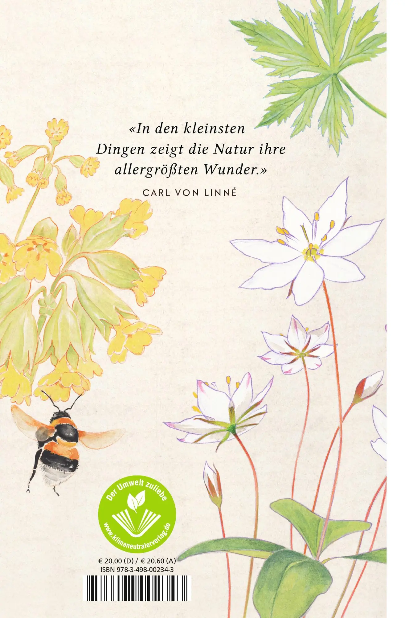 Rückseite: 9783498002343 | Die Wildblumensammlerin | Elke Loewe | Buch | Naturwunder | 160 S.