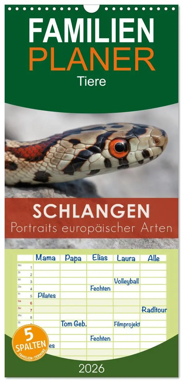 Cover: 9783516502343 | Familienplaner 2026 - Schlangen - Portraits europäischer Arten mit...