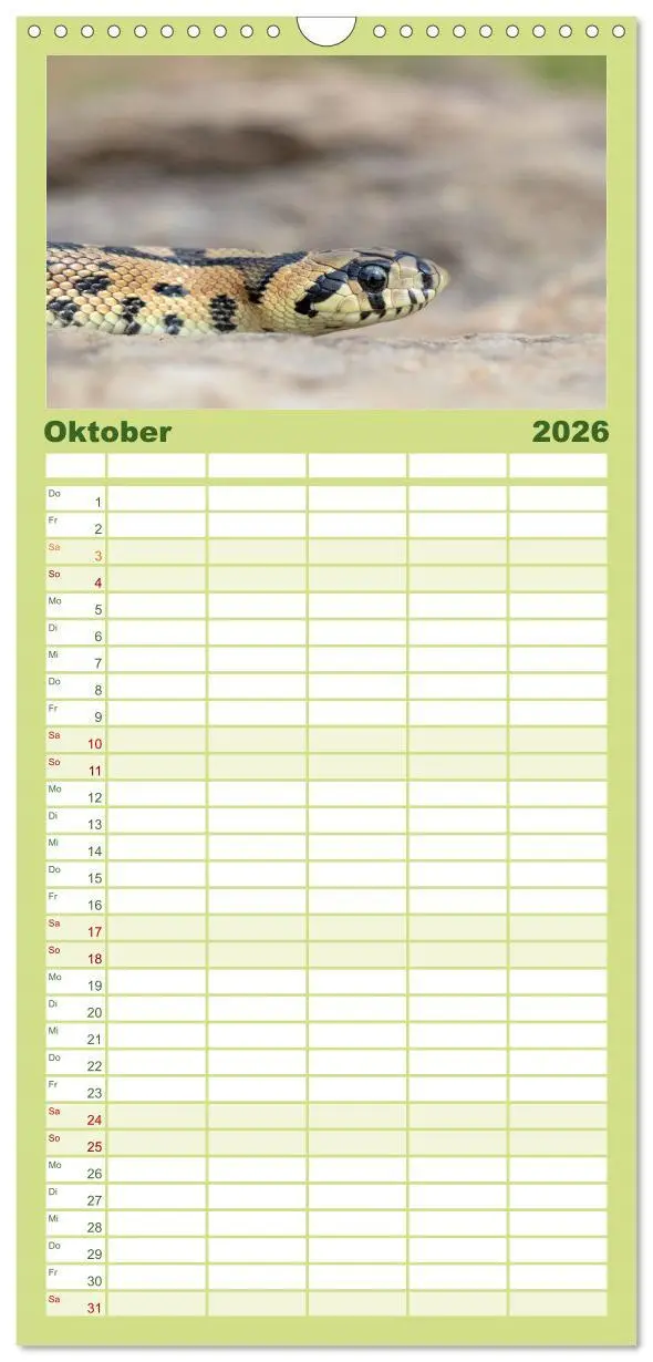 Bild: 9783516502343 | Familienplaner 2026 - Schlangen - Portraits europäischer Arten mit...