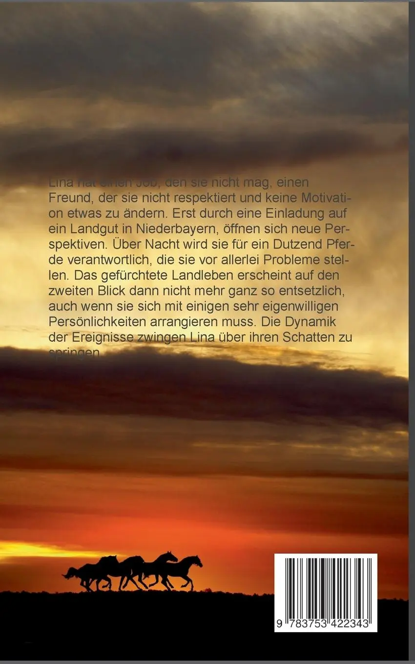 Rückseite: 9783753422343 | Freiarbeit | Nicole Feldengut | Taschenbuch | Paperback | 358 S.
