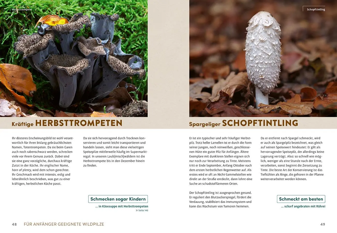 Bild: 9783818622343 | Pilzliebe | Gerhard Schuster (u. a.) | Buch | 160 S. | Deutsch | 2025
