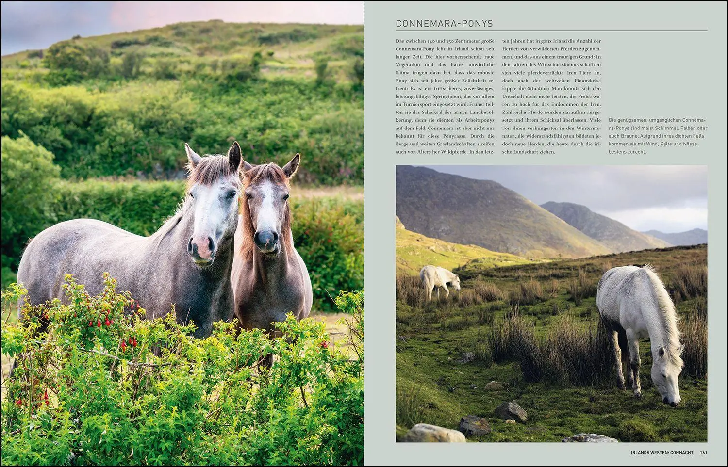 Bild: 9783969652343 | KUNTH Irland. Das Buch | Highlights eines faszinierenden Landes | Buch