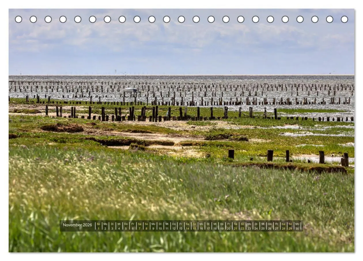 Bild: 9783457572443 | Mandø - Perle im dänischen Wattenmeer (Tischkalender 2026 DIN A5...