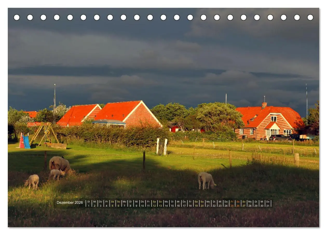 Bild: 9783457572443 | Mandø - Perle im dänischen Wattenmeer (Tischkalender 2026 DIN A5...