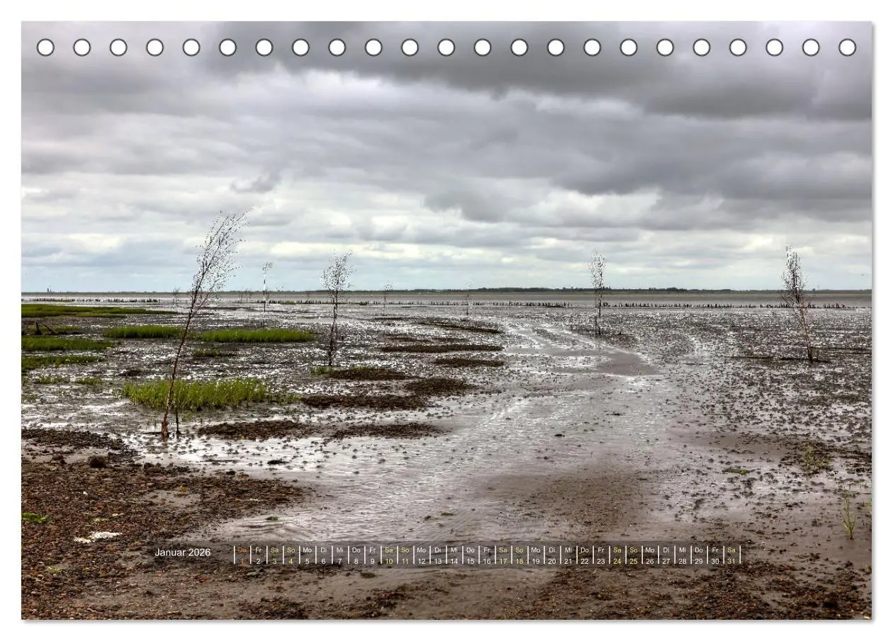 Bild: 9783457572443 | Mandø - Perle im dänischen Wattenmeer (Tischkalender 2026 DIN A5...