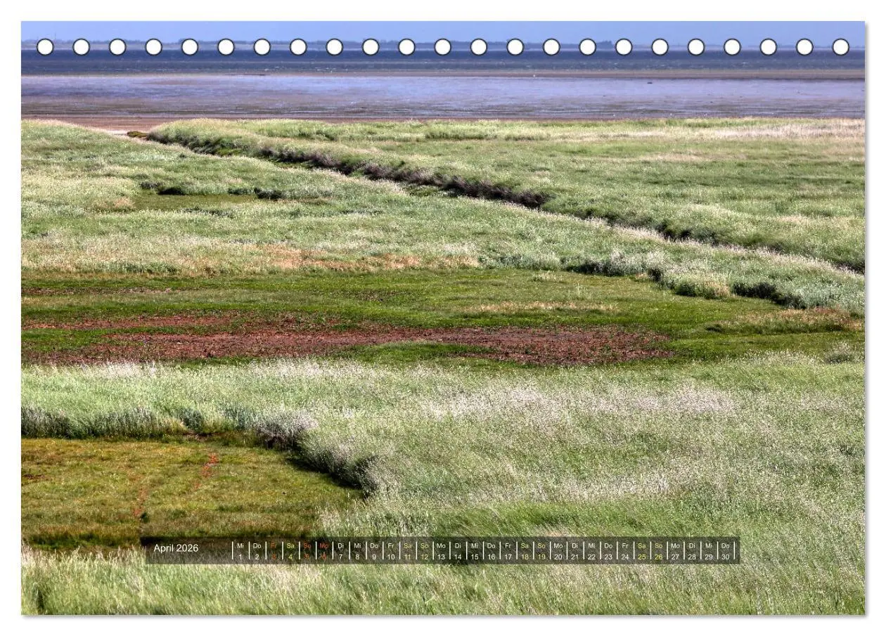 Bild: 9783457572443 | Mandø - Perle im dänischen Wattenmeer (Tischkalender 2026 DIN A5...