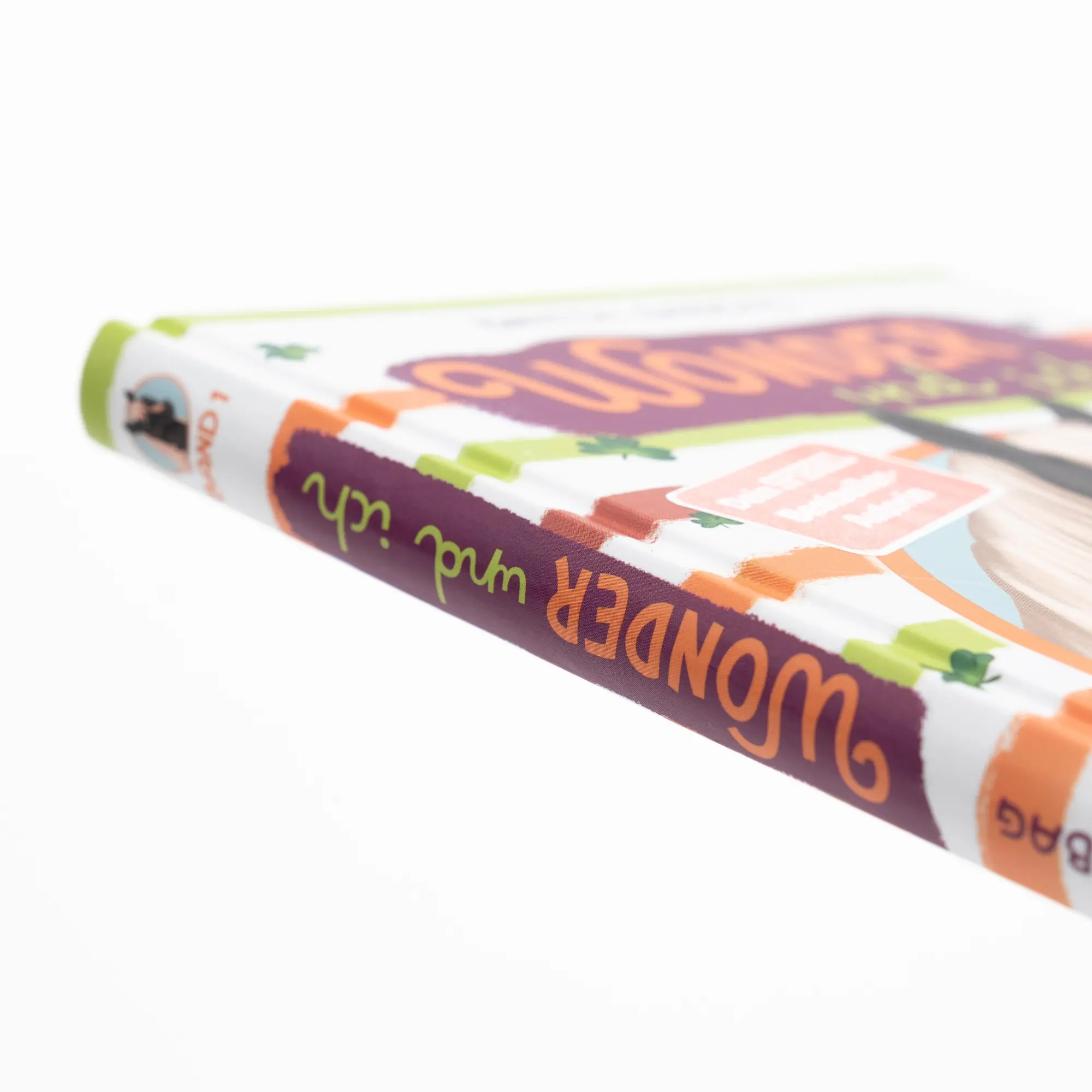 Bild: 9783505152443 | Wonder und ich. Eine Freundschaftsgeschichte (Band 1) | Britta Sabbag