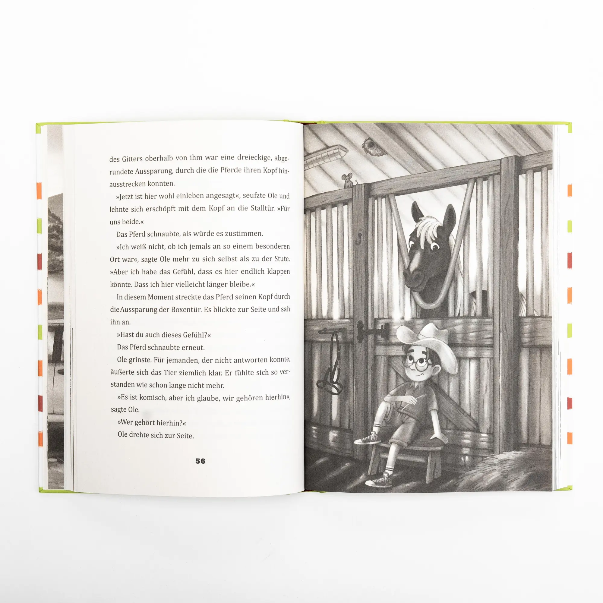 Bild: 9783505152443 | Wonder und ich. Eine Freundschaftsgeschichte (Band 1) | Britta Sabbag