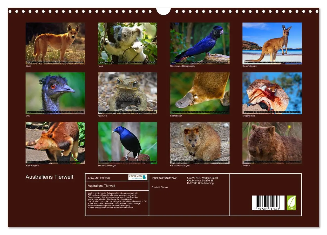 Bild: 9783516112443 | Australiens Tierwelt (Wandkalender 2026 DIN A3 quer), CALVENDO...