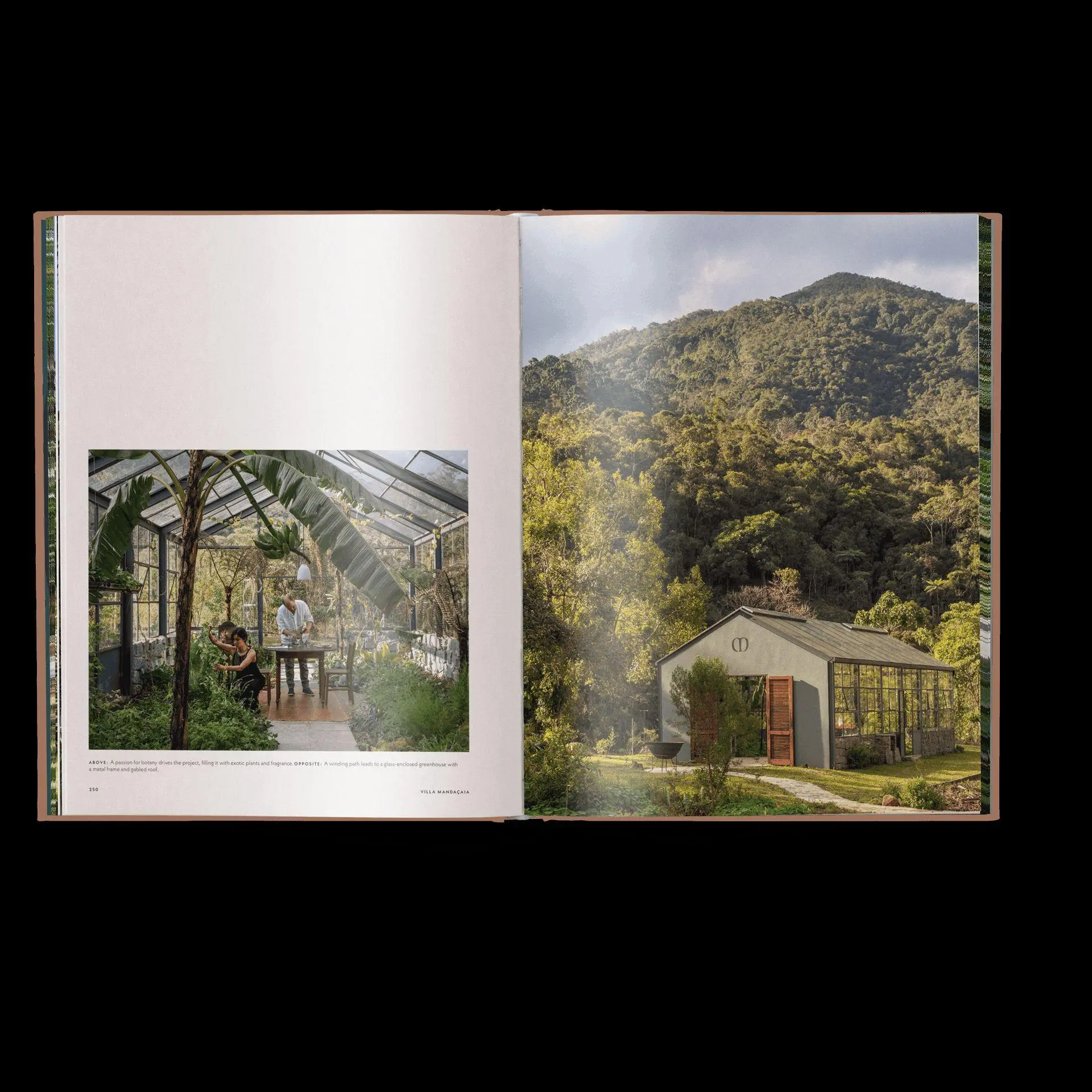 Bild: 9783967042443 | Brazil Living | The Residences and Interiors of New Tropicalism | Buch