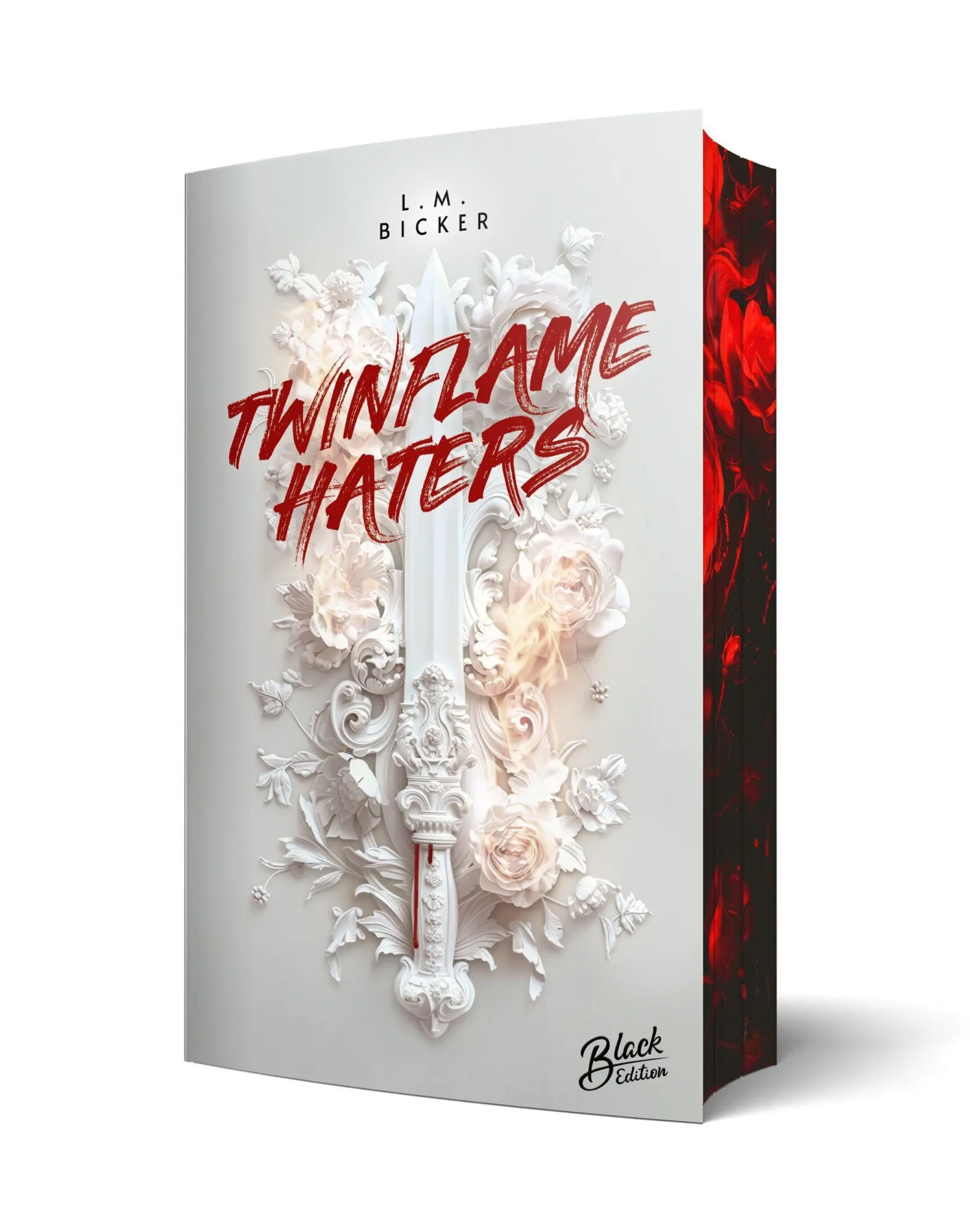 Cover: 9783690282543 | Twinflame Haters Aufwendig gestaltete Ausgabe mit Farbschnitt | Bicker