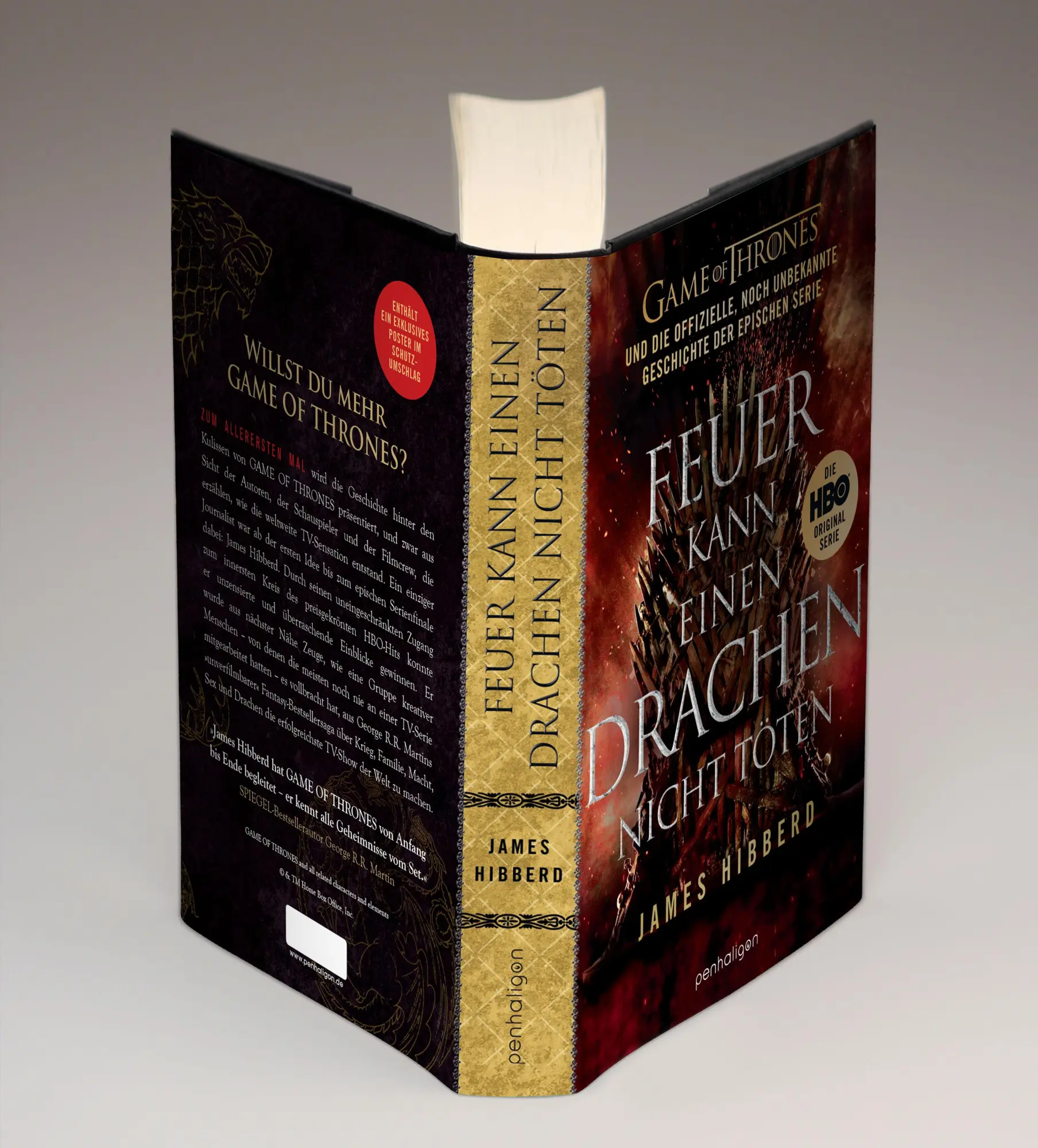 Bild: 9783764532543 | Feuer kann einen Drachen nicht töten | James Hibberd | Buch | 464 S.