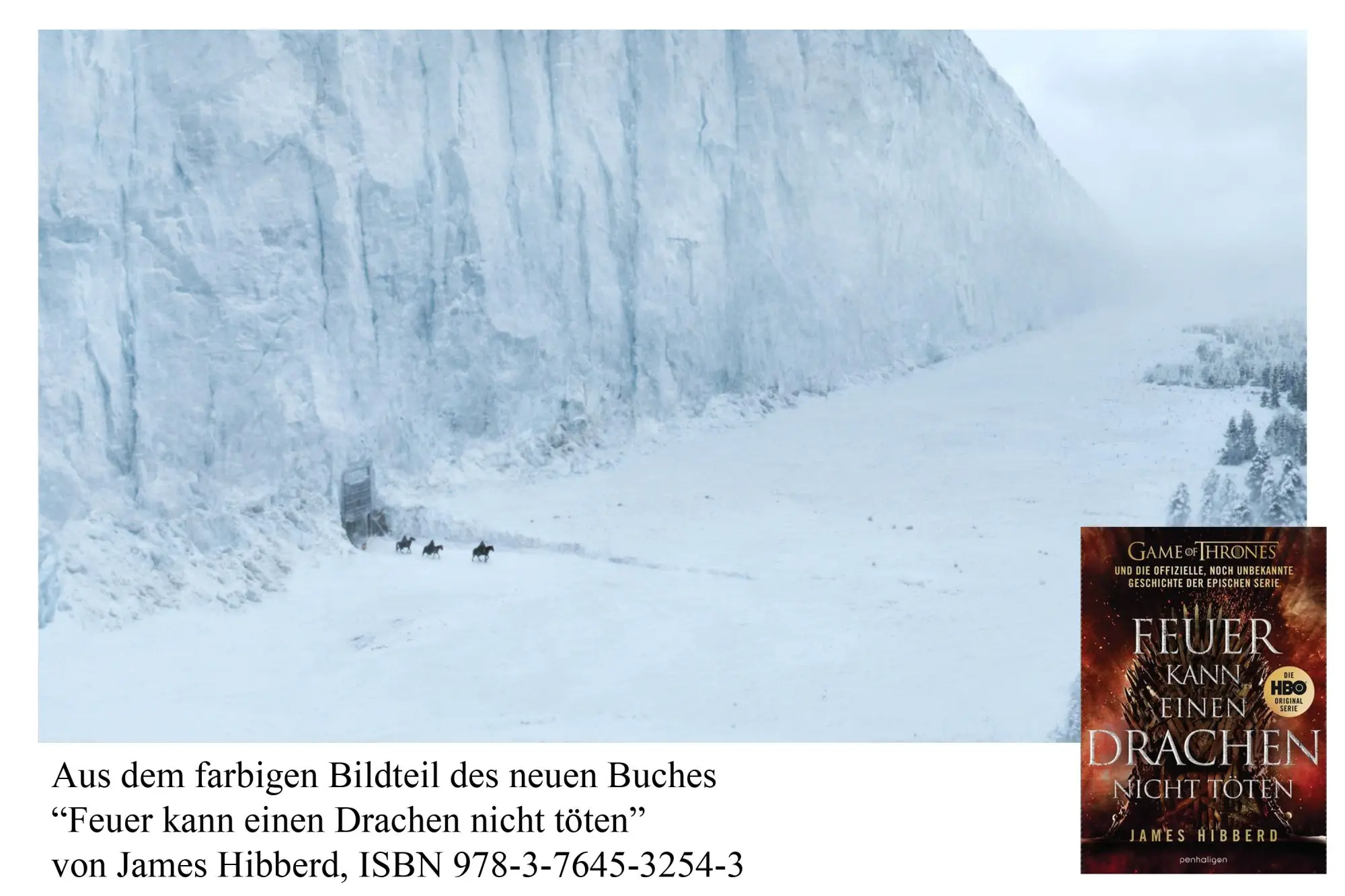 Bild: 9783764532543 | Feuer kann einen Drachen nicht töten | James Hibberd | Buch | 464 S.