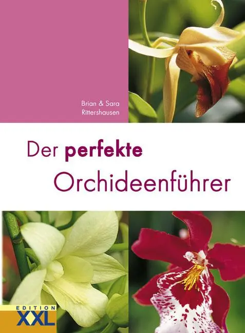 Cover: 9783897362543 | Der perfekte Orchideenführer | Brian Rittershausen (u. a.) | Buch
