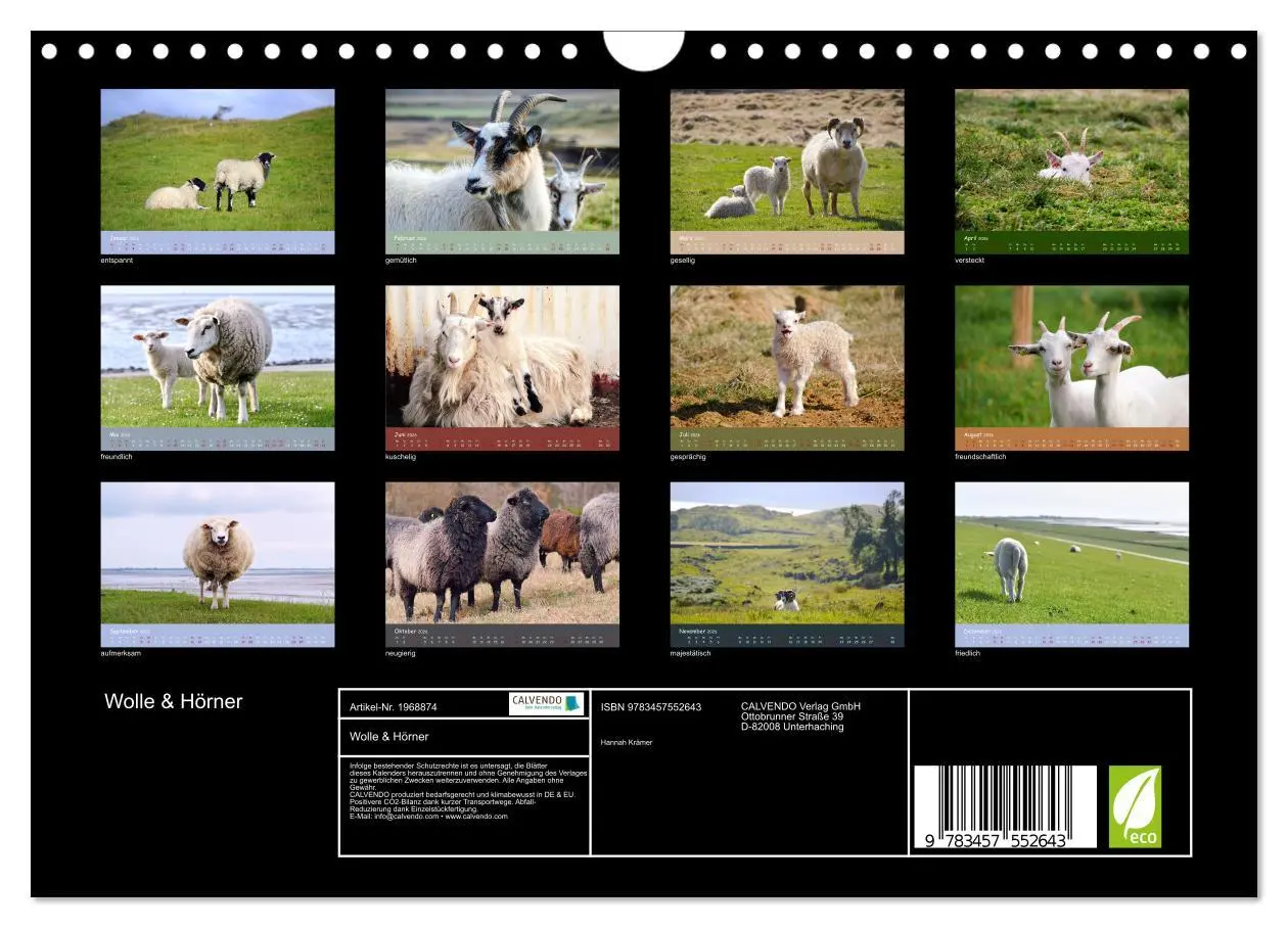 Bild: 9783457552643 | Wolle &amp; Hörner (Wandkalender 2026 DIN A4 quer), CALVENDO...