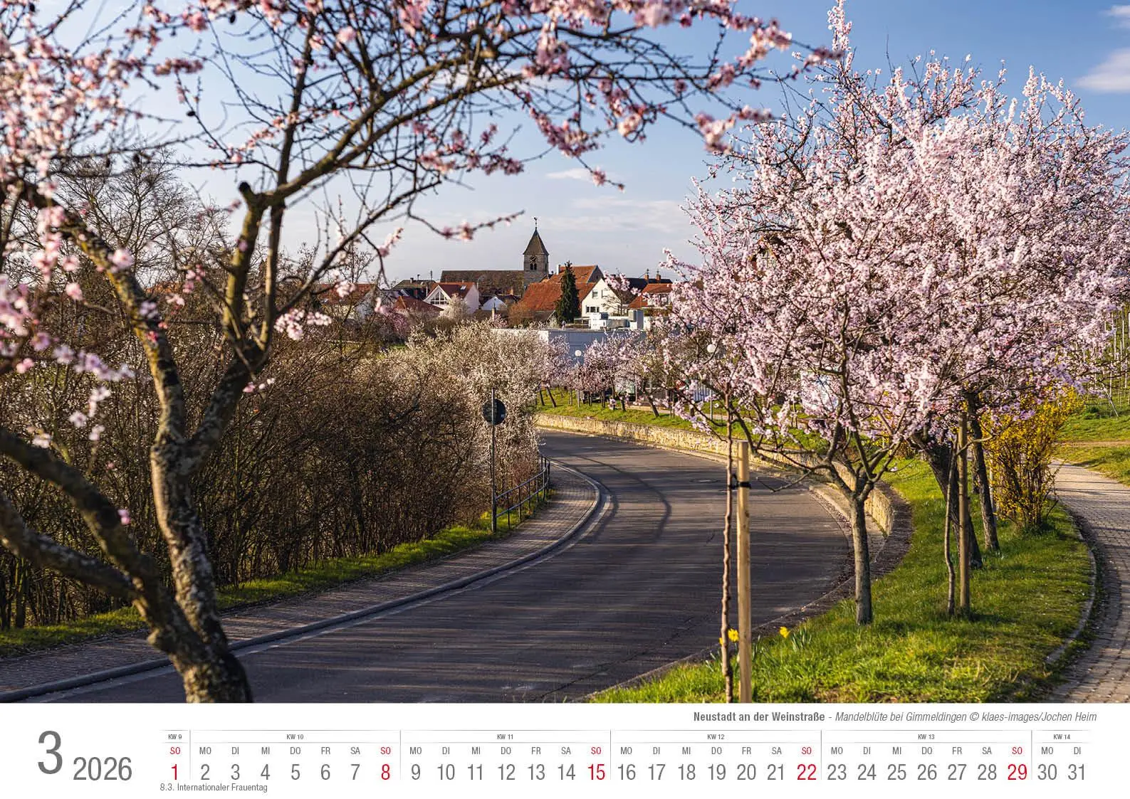 Bild: 9783965352643 | Neustadt a. d. Weinstraße 2026 Bildkalender A3 Spiralbindung | Klaes