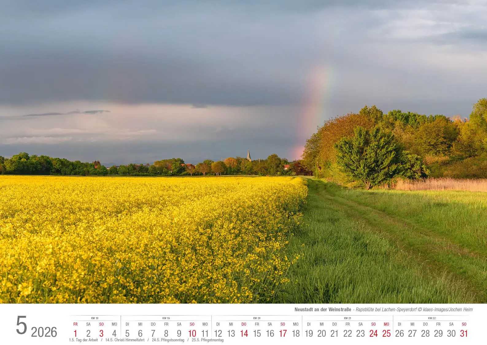 Bild: 9783965352643 | Neustadt a. d. Weinstraße 2026 Bildkalender A3 Spiralbindung | Klaes