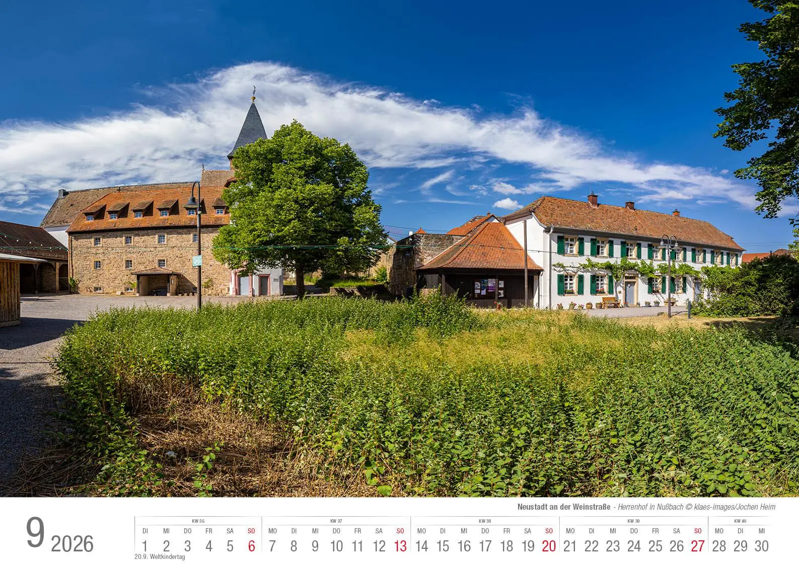 Bild: 9783965352643 | Neustadt a. d. Weinstraße 2026 Bildkalender A3 Spiralbindung | Klaes